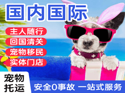 萧山机场快递国际宠物托运 【国